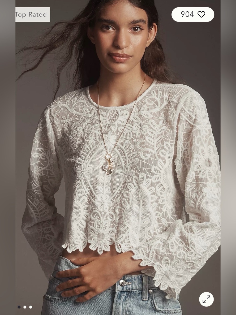 NWT By Anthropologie Sheer Eyelet Long-Sleeve Top XS